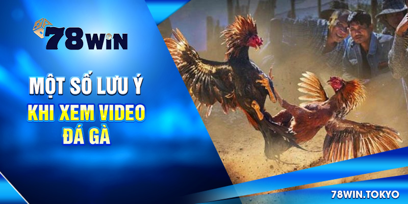 Video Đá Gà Trực Tiếp 78WIN - Livestream Sắc Nét, Full HD 11 Một số lưu ý khi xem video đá gà