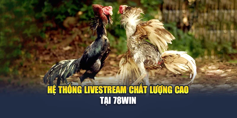Hệ thống livestream chất lượng cao tại 78WIN