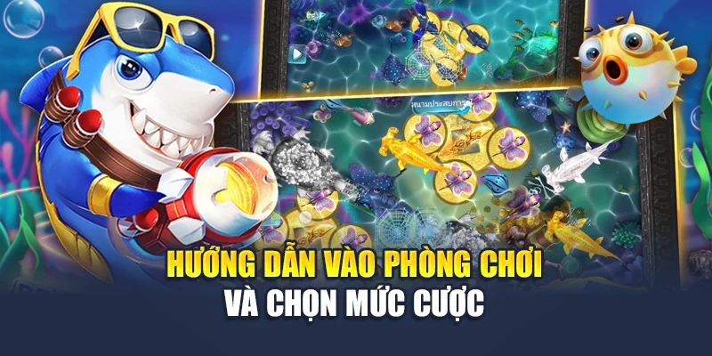 Hướng dẫn vào phòng chơi và chọn mức cược
