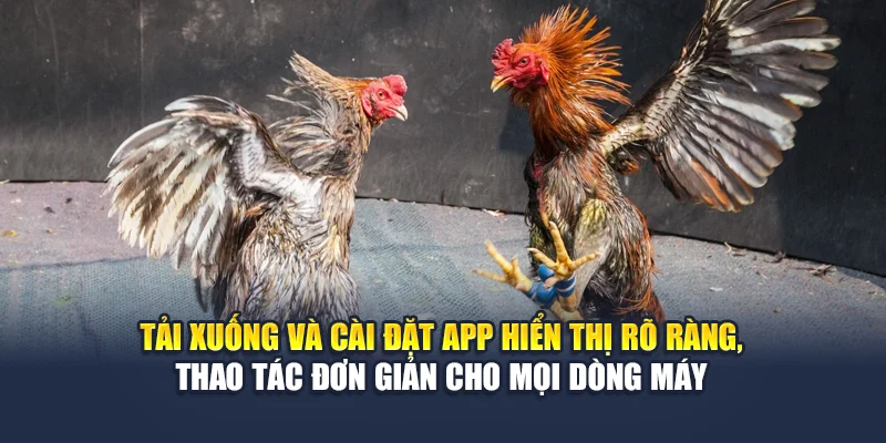 Tải xuống và cài đặt app hiển thị rõ ràng, thao tác đơn giản cho mọi dòng máy
